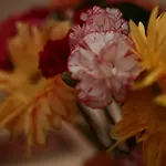 Massimo Bed & Breakfast Palermo